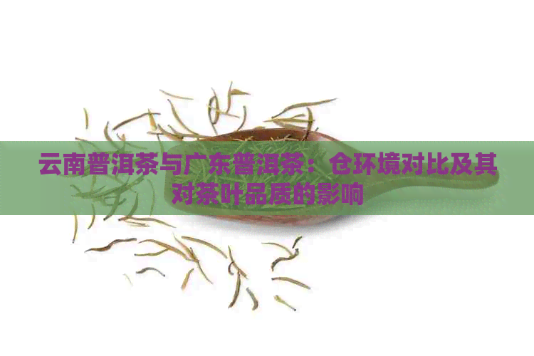 云南普洱茶与广东普洱茶：仓环境对比及其对茶叶品质的影响