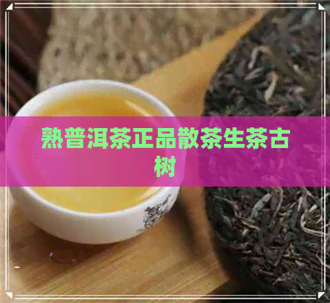 熟普洱茶正品散茶生茶古树