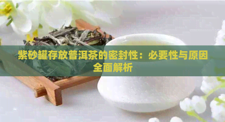 紫砂罐存放普洱茶的密封性：必要性与原因全面解析