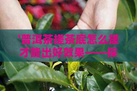 '普洱茶搓茶底怎么搓才能出好效果——探讨茶叶的手搓技巧'