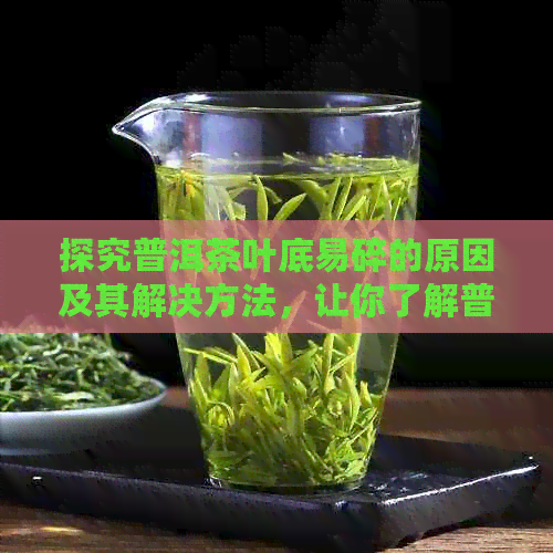 探究普洱茶叶底易碎的原因及其解决方法，让你了解普洱茶的完整世界