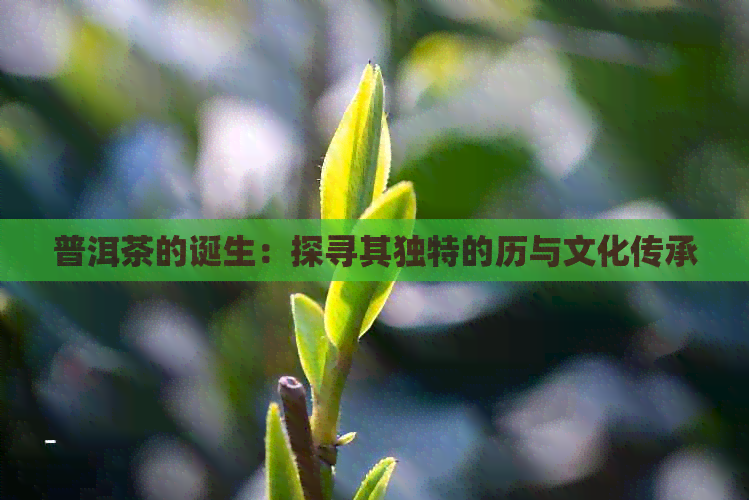 普洱茶的诞生：探寻其独特的历与文化传承