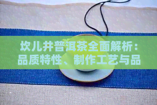 坎儿井普洱茶全面解析：品质特性、制作工艺与品饮技巧的深度探讨