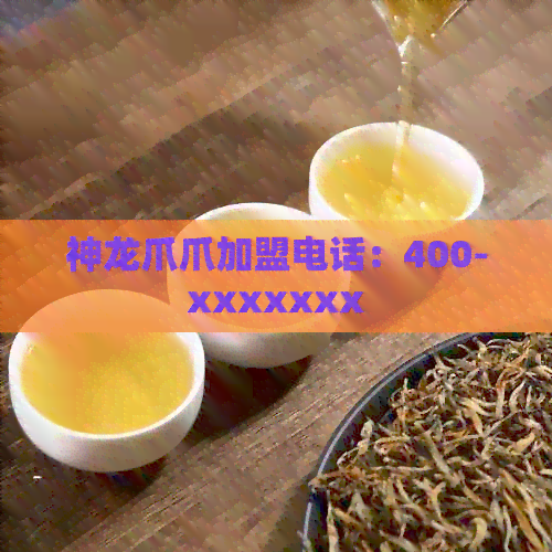 神龙爪爪加盟电话：400-xxxxxxx