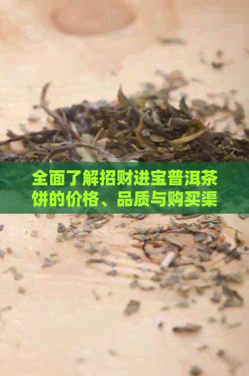 全面了解招财进宝普洱茶饼的价格、品质与购买渠道，助您轻松投资收藏