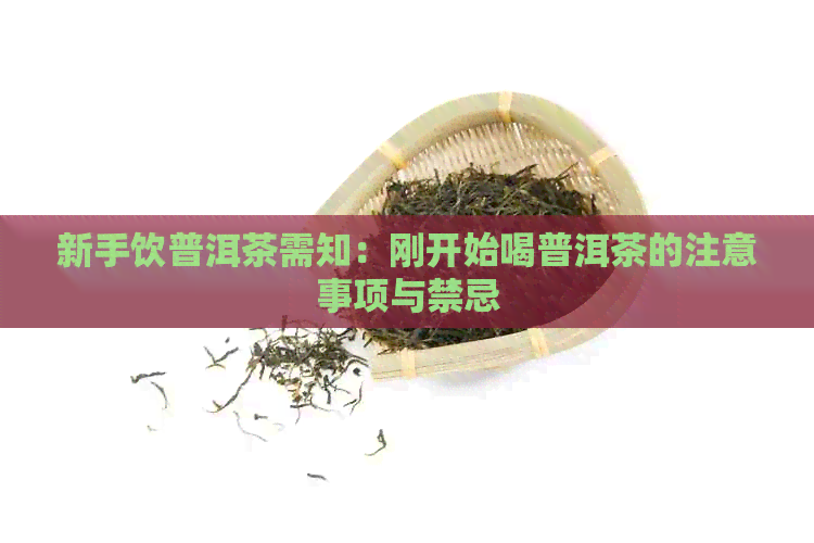 新手饮普洱茶需知：刚开始喝普洱茶的注意事项与禁忌