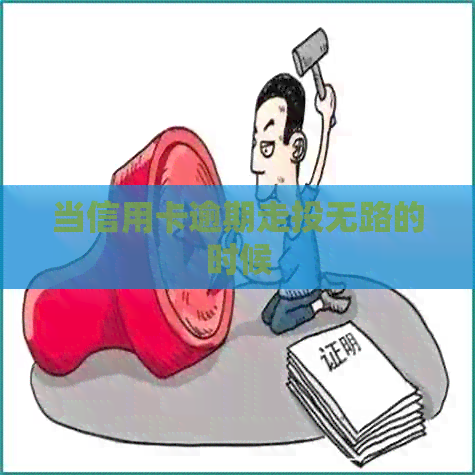 当信用卡逾期走投无路的时候