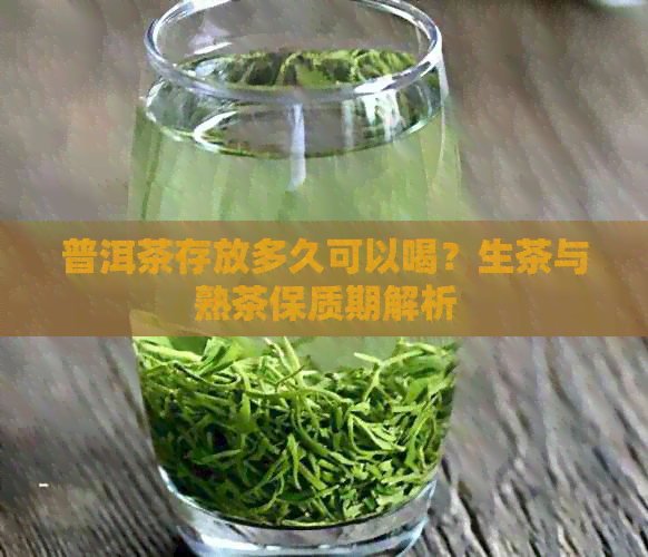 普洱茶存放多久可以喝？生茶与熟茶保质期解析