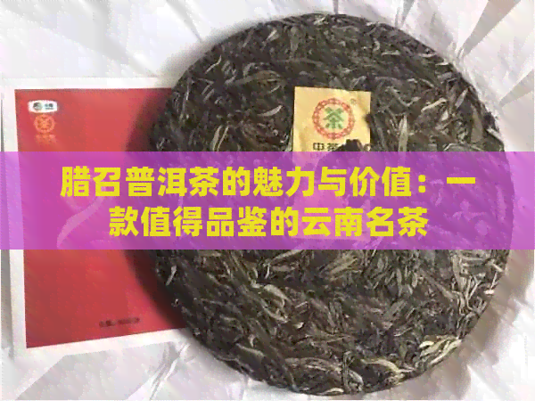 腊召普洱茶的魅力与价值：一款值得品鉴的云南名茶