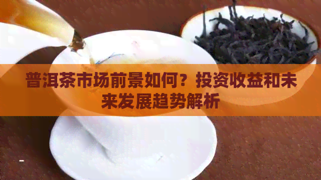 普洱茶市场前景如何？投资收益和未来发展趋势解析