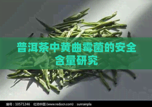 普洱茶中黄曲霉菌的安全含量研究