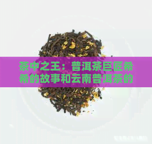 茶中之王：普洱茶巨匠希希的故事和云南普洱茶的魅力