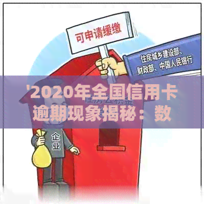 '2020年全国信用卡逾期现象揭秘：数据分析揭示背后的原因与影响'