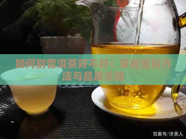 如何别普洱茶好不好：掌握鉴别方法与品质关键