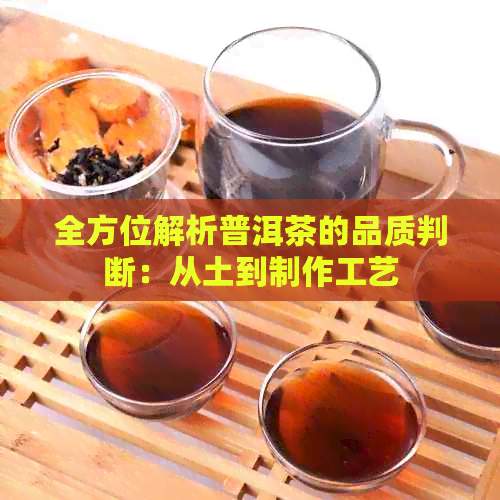 全方位解析普洱茶的品质判断：从土到制作工艺