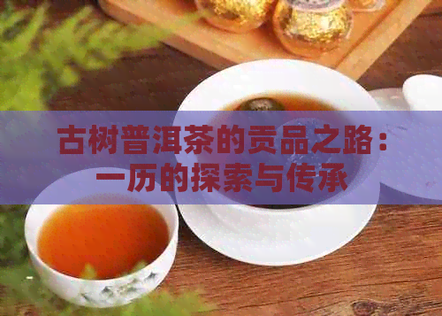 古树普洱茶的贡品之路：一历的探索与传承