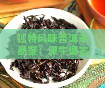 独特风味普洱茶品鉴：犀牛塘古树生茶价格分析