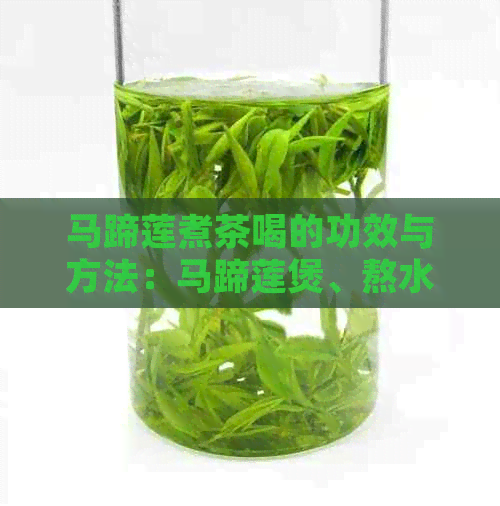 马蹄莲煮茶喝的功效与方法：马蹄莲煲、熬水及煮茶的详细步骤和注意事项。