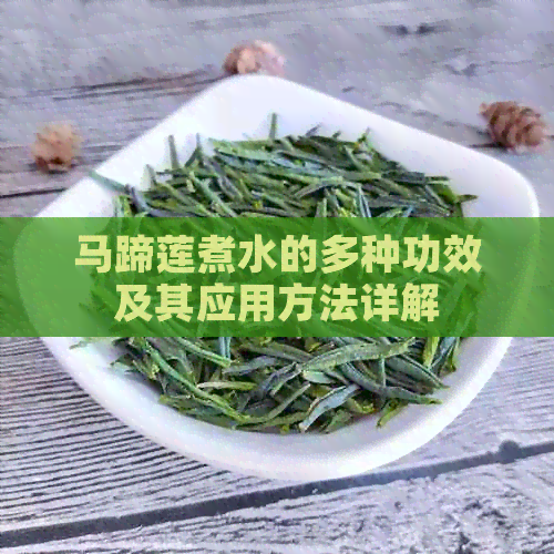 马蹄莲煮水的多种功效及其应用方法详解