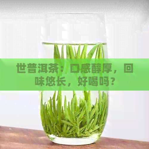 世普洱茶：口感醇厚，回味悠长，好喝吗？