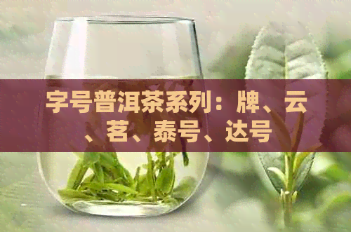 字号普洱茶系列：牌、云、茗、泰号、达号