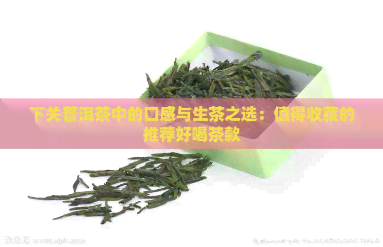 下关普洱茶中的口感与生茶之选：值得收藏的推荐好喝茶款