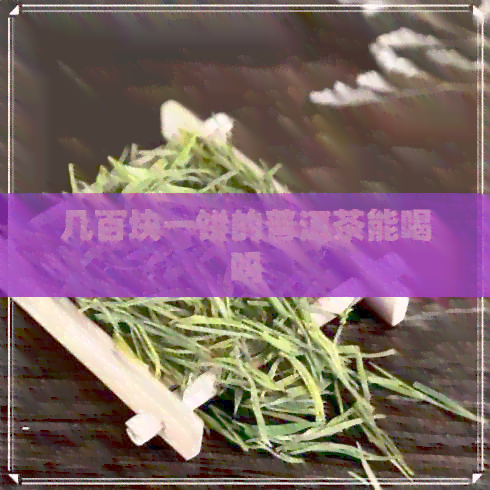 几百块一饼的普洱茶能喝吗