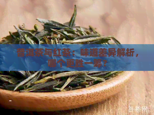 普洱茶与红茶：味道差异解析，哪个更胜一筹？