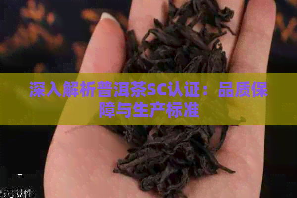 深入解析普洱茶SC认证：品质保障与生产标准