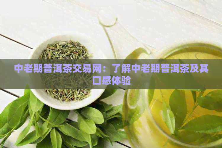 中老期普洱茶交易网：了解中老期普洱茶及其口感体验