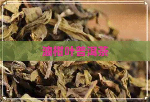 油柑叶普洱茶