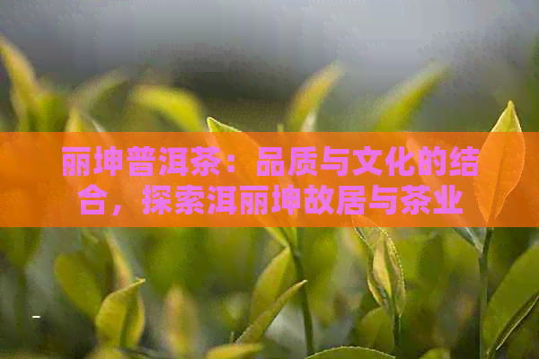 丽坤普洱茶：品质与文化的结合，探索洱丽坤故居与茶业