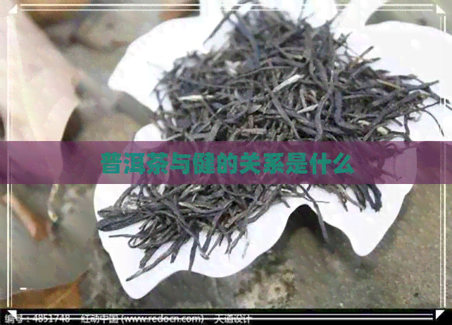 普洱茶与健的关系是什么