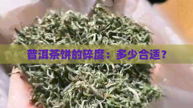 普洱茶饼的碎度：多少合适？