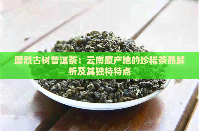 磨烈古树普洱茶：云南原产地的珍稀茶品解析及其独特特点