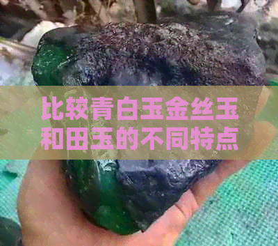 比较青白玉金丝玉和田玉的不同特点，深入了解二者之间的差异