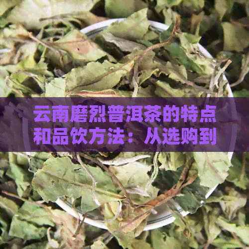 云南磨烈普洱茶的特点和品饮方法：从选购到泡法的全面指南