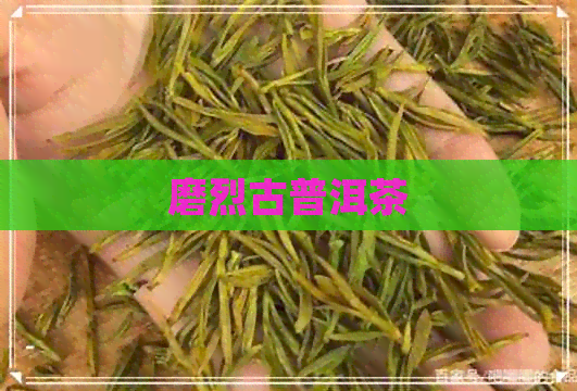 磨烈古普洱茶