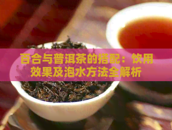 百合与普洱茶的搭配：饮用效果及泡水方法全解析