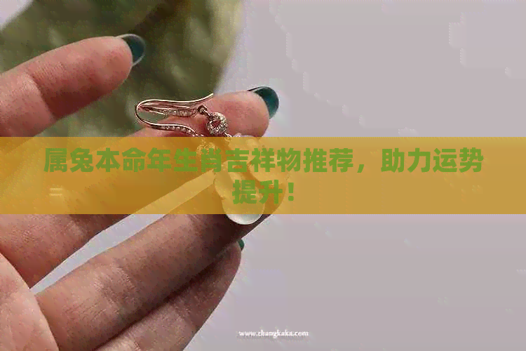 属兔本命年生肖吉祥物推荐，助力运势提升！