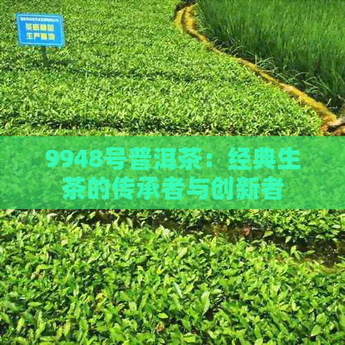 9948号普洱茶：经典生茶的传承者与创新者