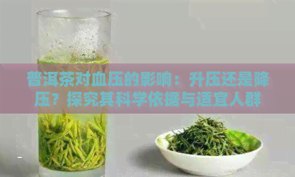 普洱茶对血压的影响：升压还是降压？探究其科学依据与适宜人群