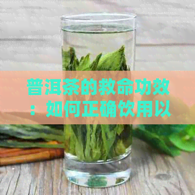 普洱茶的救命功效：如何正确饮用以达到效果？