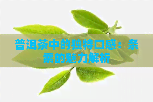 普洱茶中的独特口感：条索的魅力解析