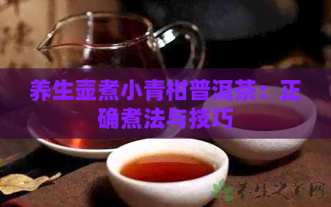 养生壶煮小青柑普洱茶：正确煮法与技巧