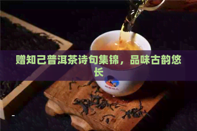 赠知己普洱茶诗句集锦，品味古韵悠长