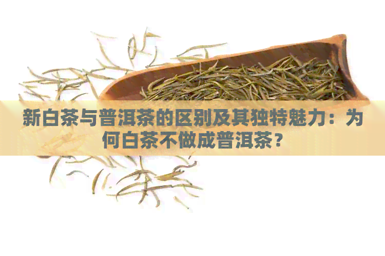 新白茶与普洱茶的区别及其独特魅力：为何白茶不做成普洱茶？