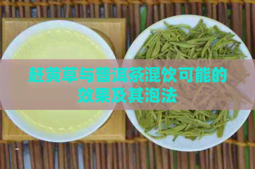 赶黄草与普洱茶混饮可能的效果及其泡法