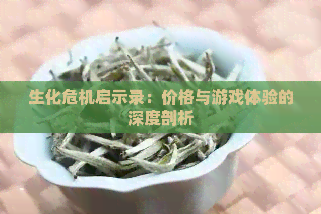 生化危机启示录：价格与游戏体验的深度剖析