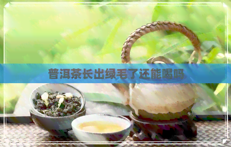 普洱茶长出绿毛了还能喝吗